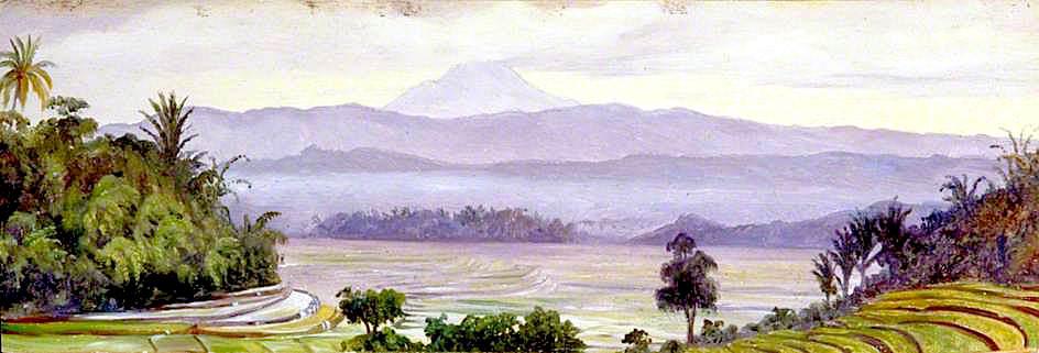 The Kluet Volcano From Ngantang, Java — Marianne North
