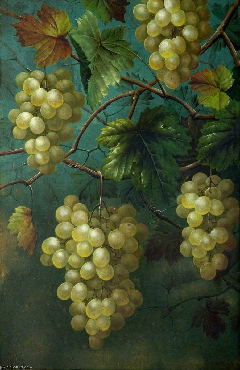 Still Life Of Grapes And Vine — Edwin Steele