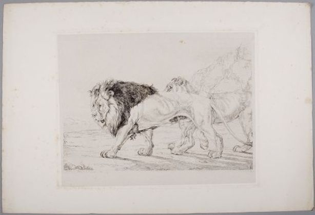 Lion And Lioness Prowling — John Frederick Lewis
