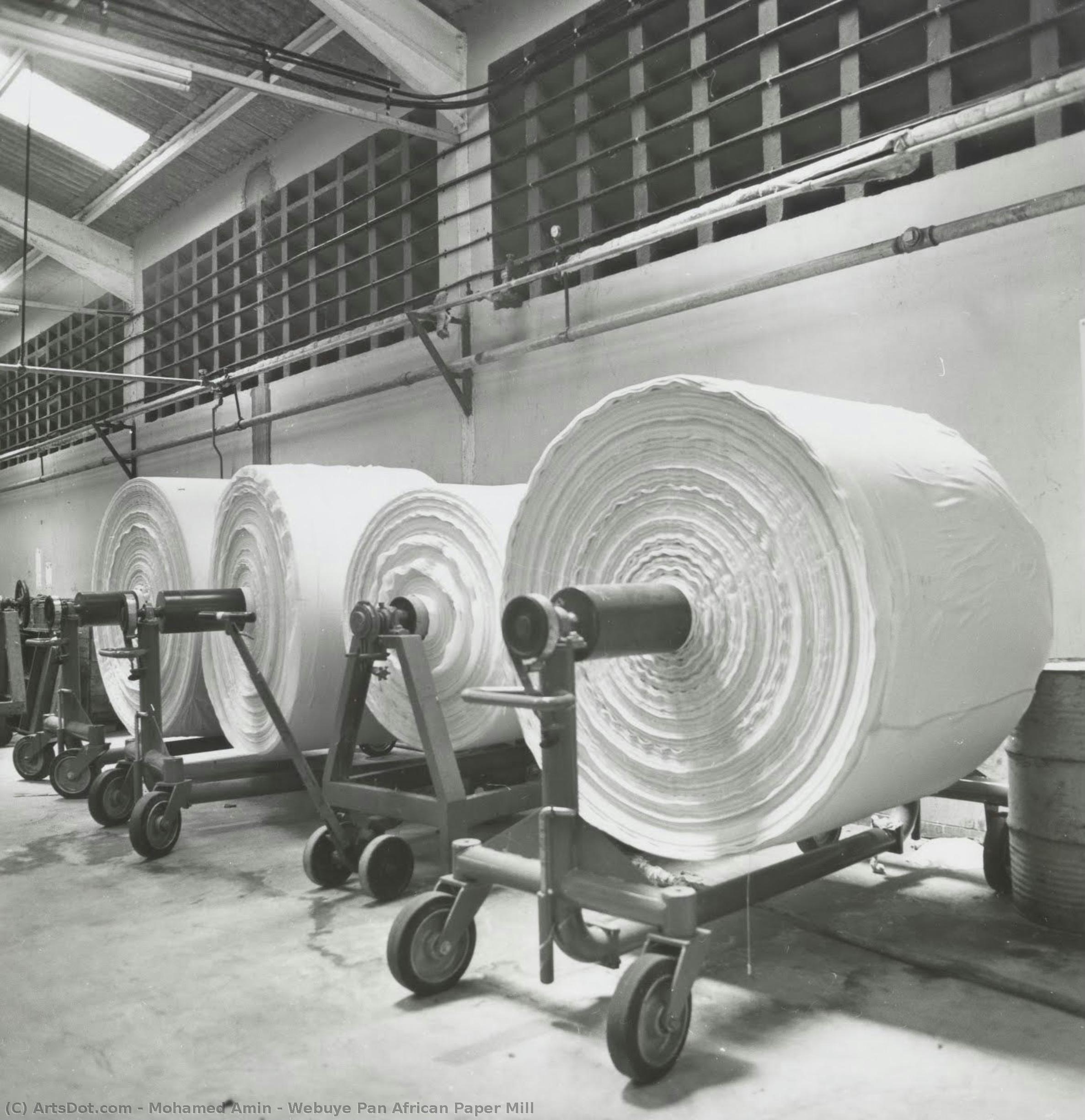 Webuye Pan African Paper Mill — Mohamed Amin
