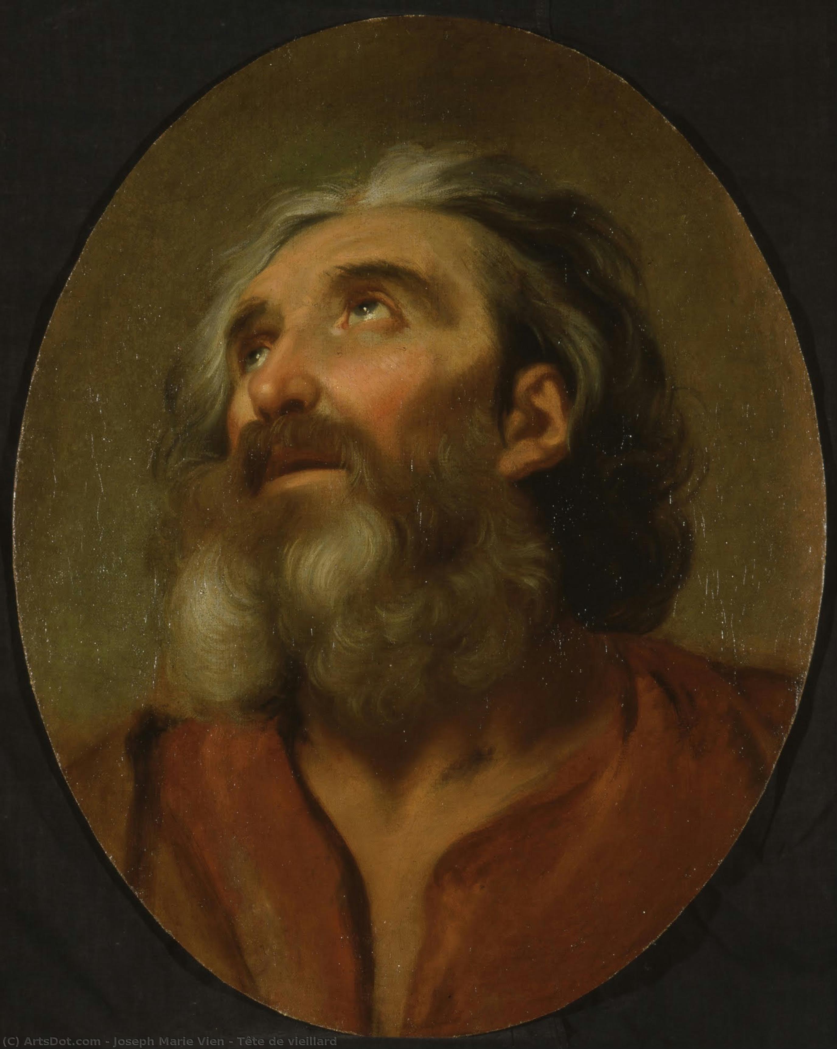 Tête De Vieillard — Joseph Marie Vien