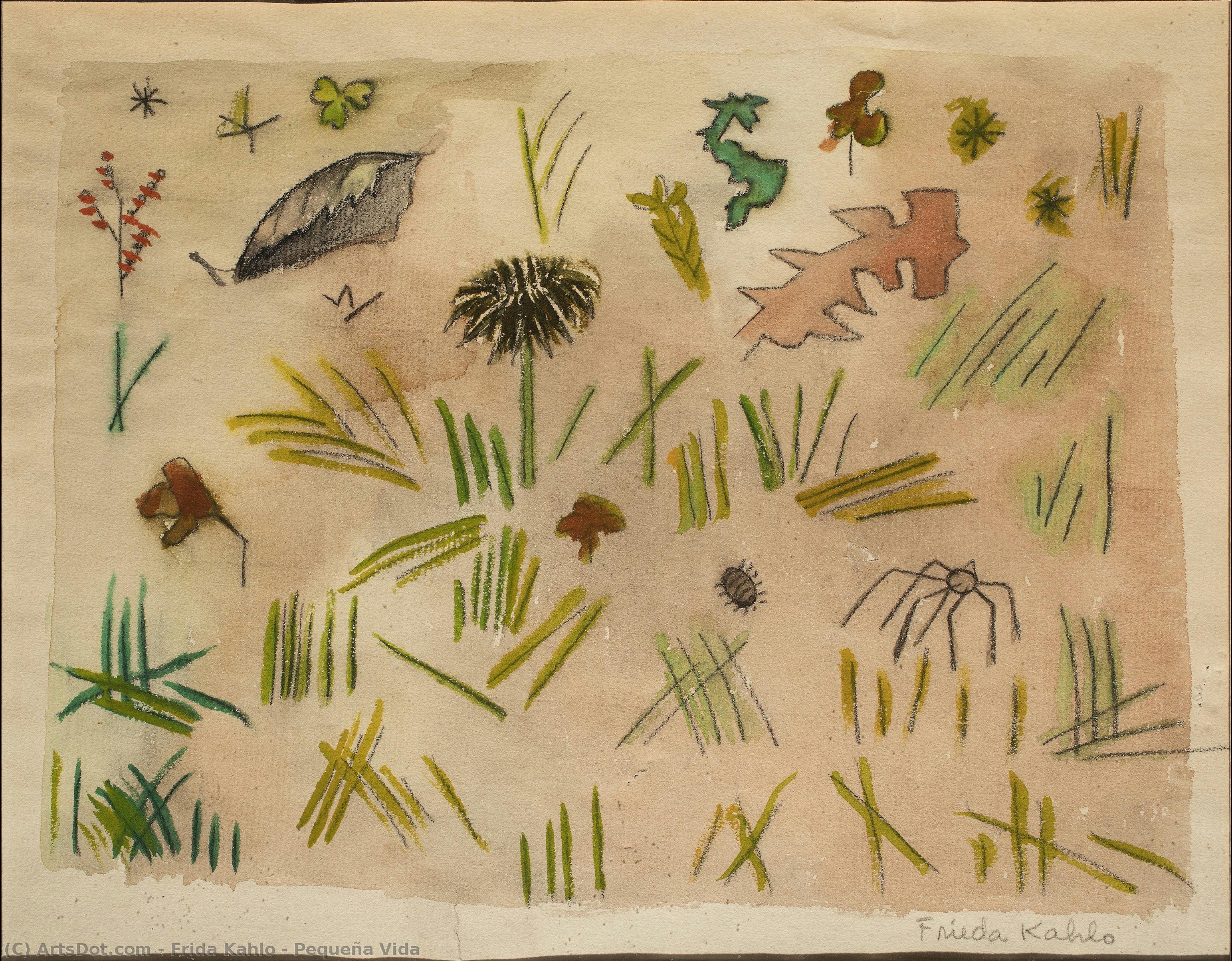 Pequeña Vida — Frida Kahlo
