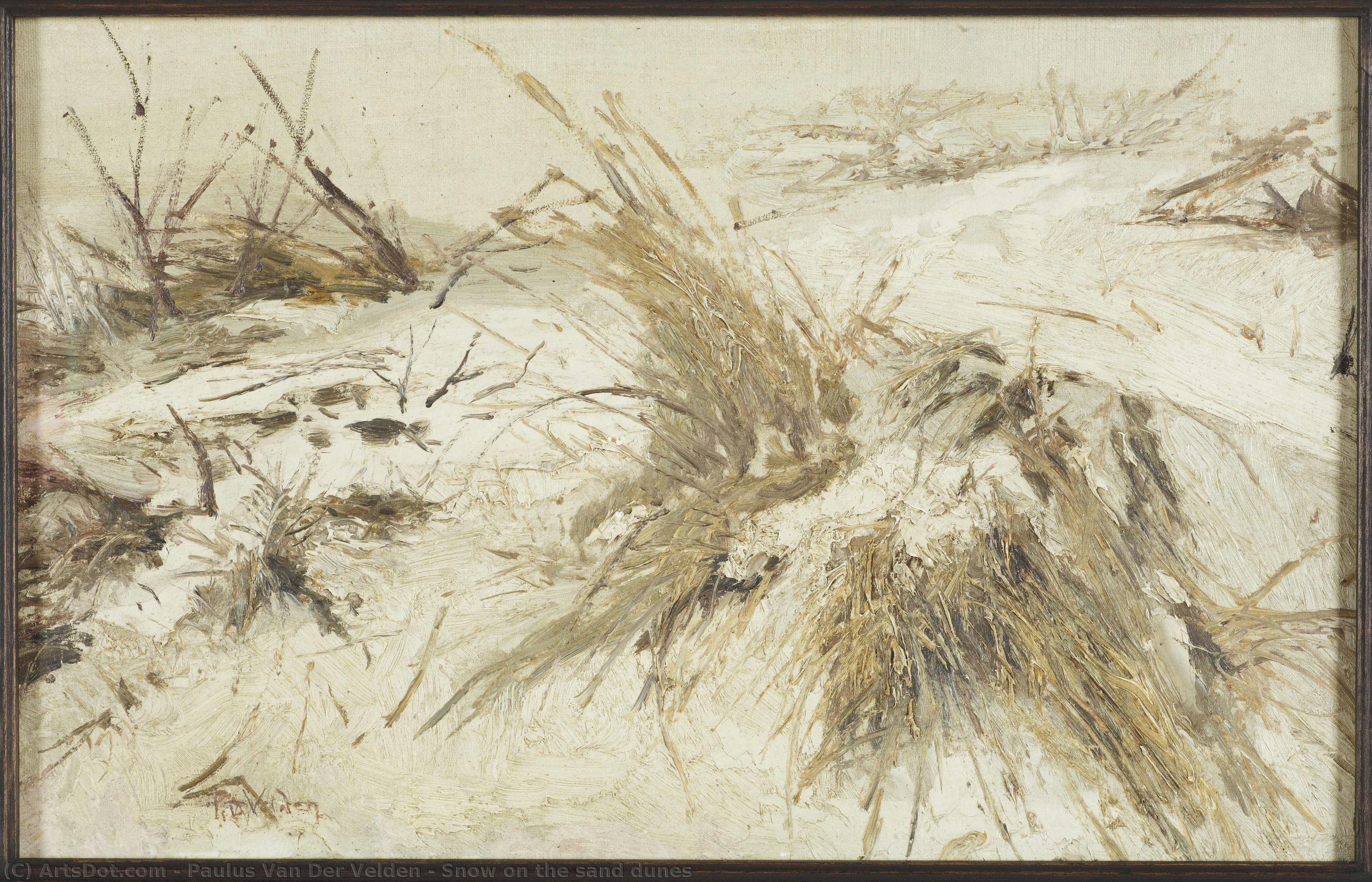 Snow On The Sand Dunes — Paulus Van Der Velden