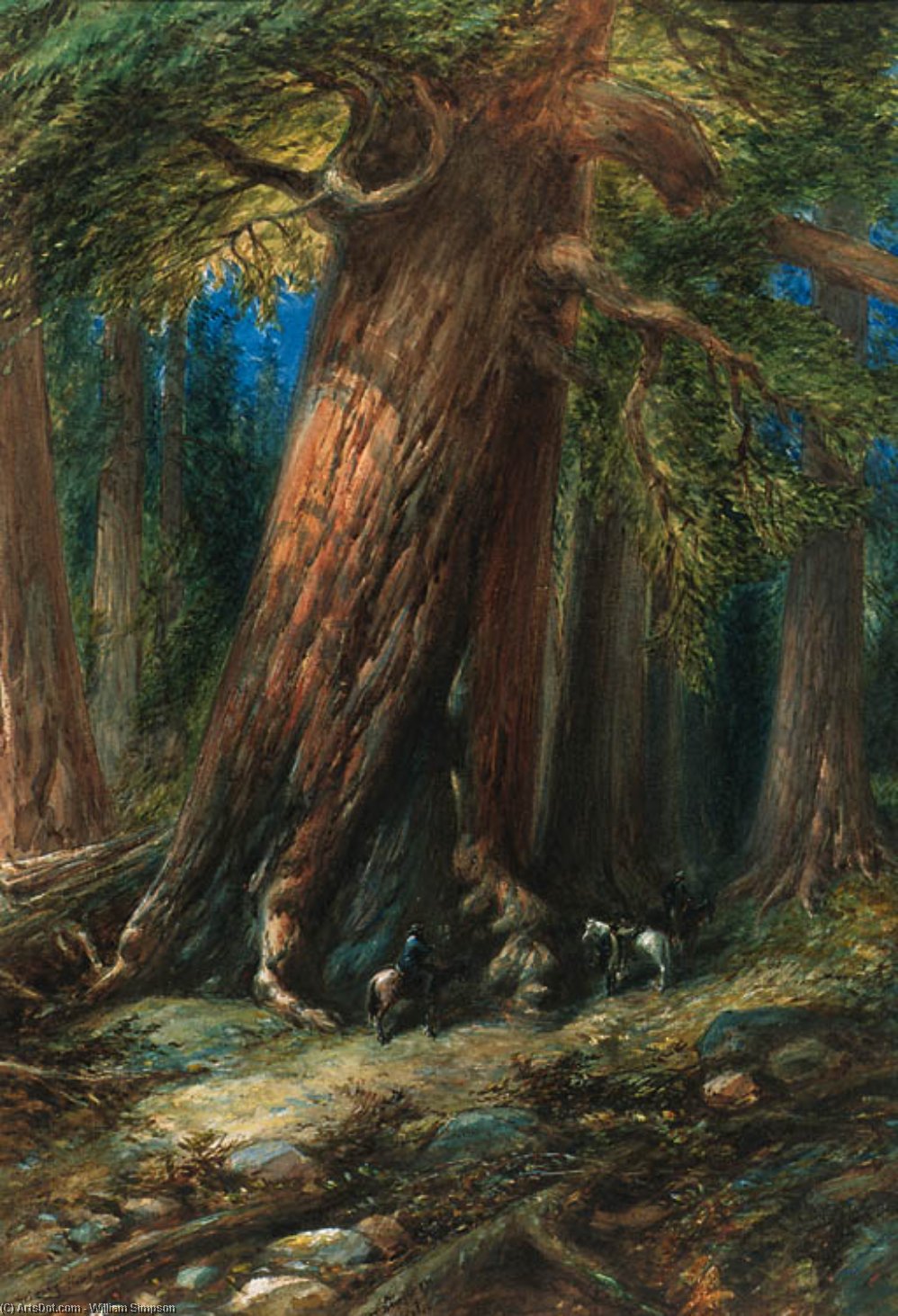 The Grizzly Giant, Mariposa — William Simpson
