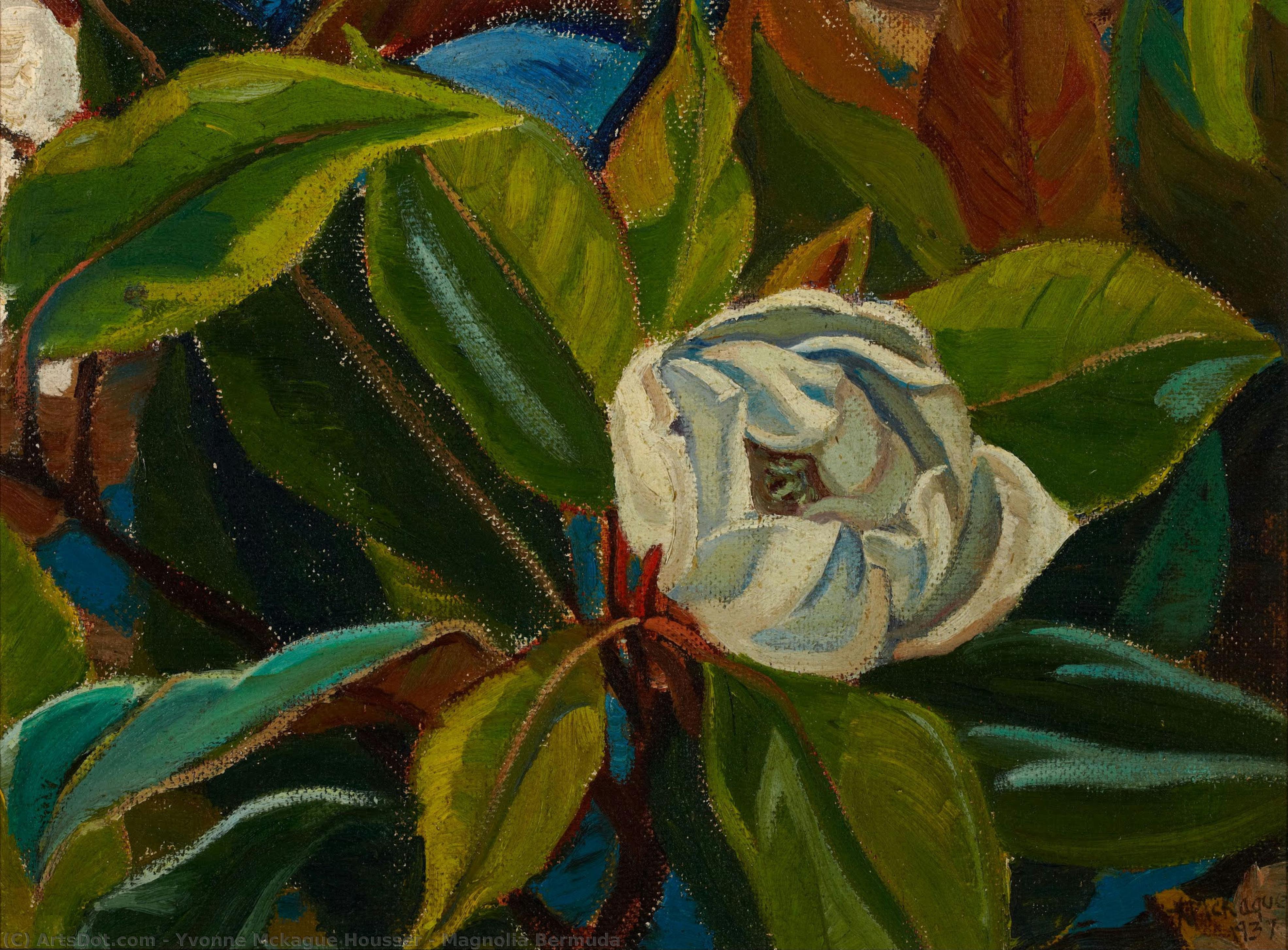 Magnolia Bermuda — Yvonne Mckague Housser