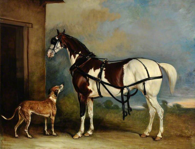 'lofty', A Skewbald Carriage Horse, With A Greyhound — Sr John E Ferneley