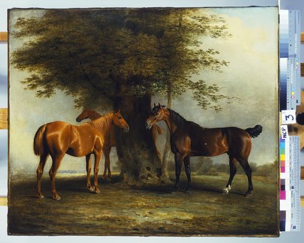 Hunters At Grass, — Benjamin Marshall