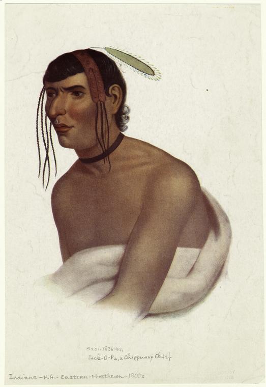 Jack-o-pa, A Chippeway [chippewa] Chief — Charles Bird King