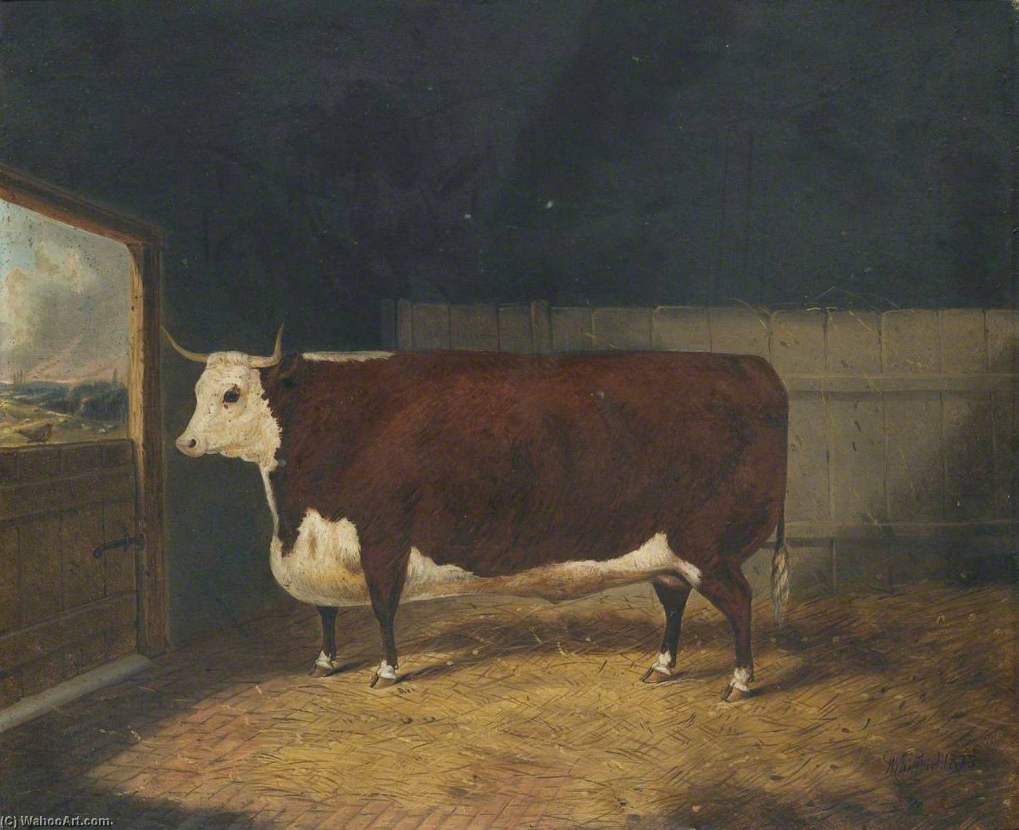 A Prize Cow In A Barn — Richard Whitford