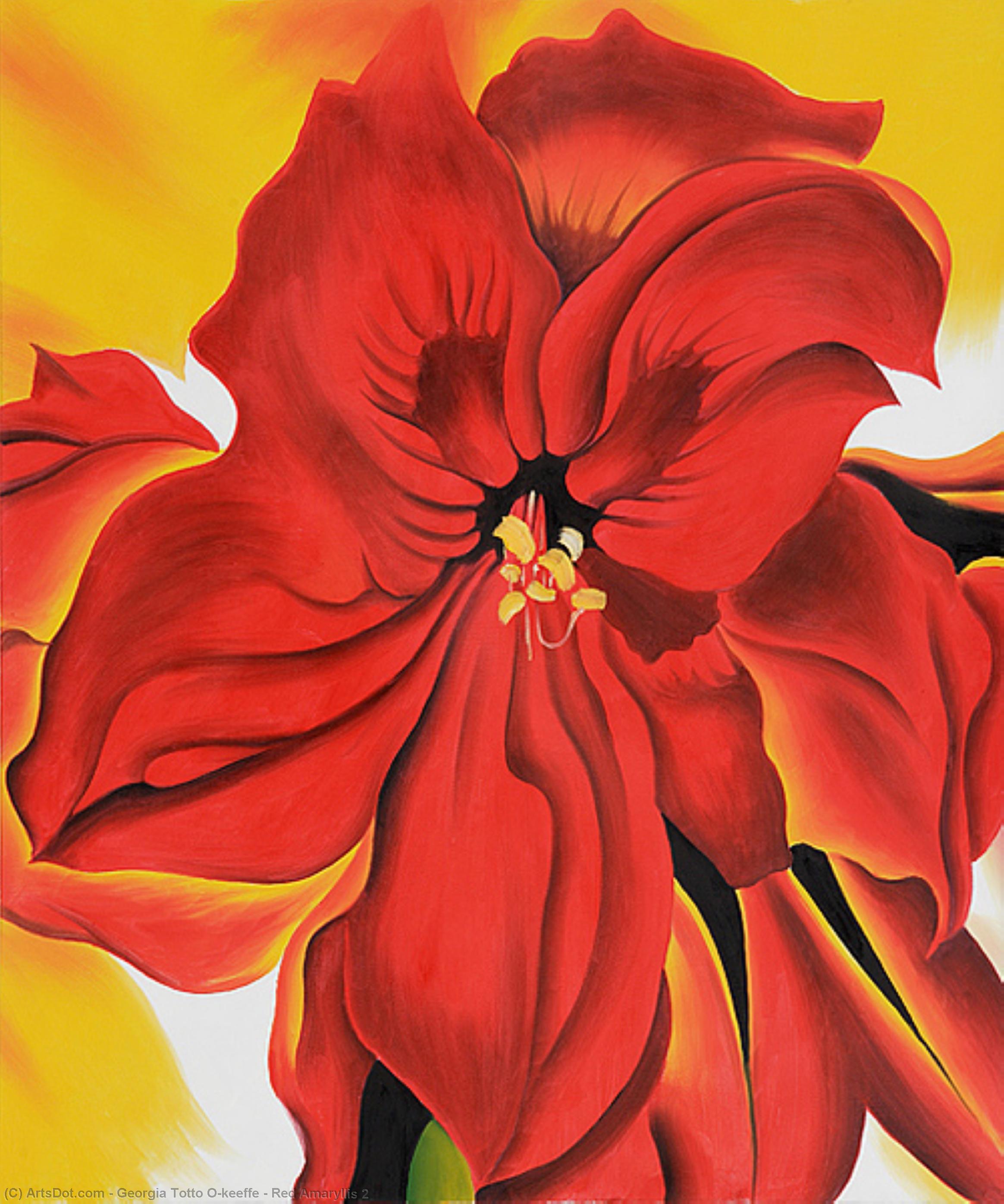 Red Amaryllis 2 — Georgia O'keeffe