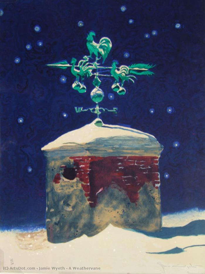 A Weathervane — Jamie Wyeth
