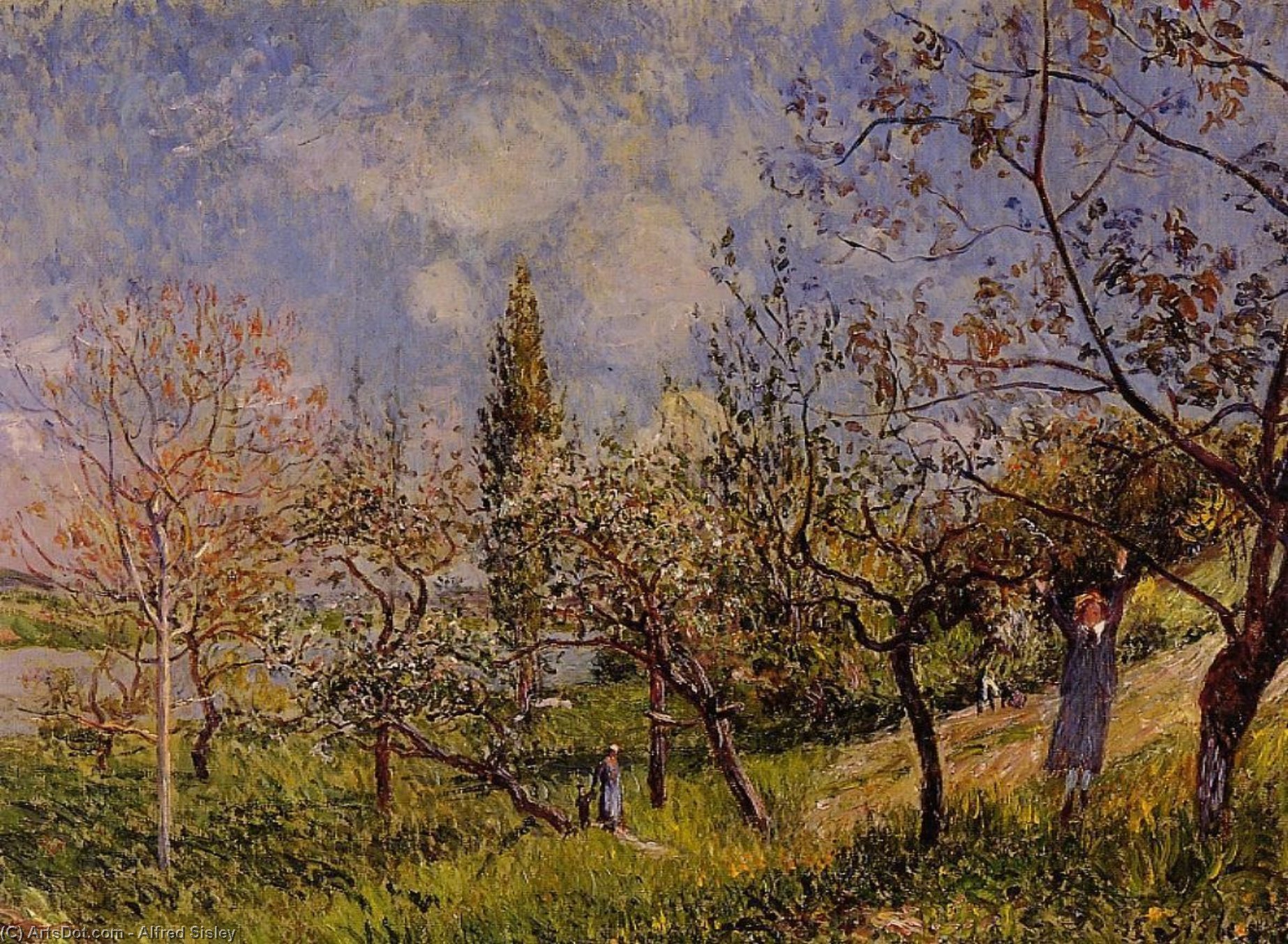 Orchard In Spring - By — Alfred Sisley