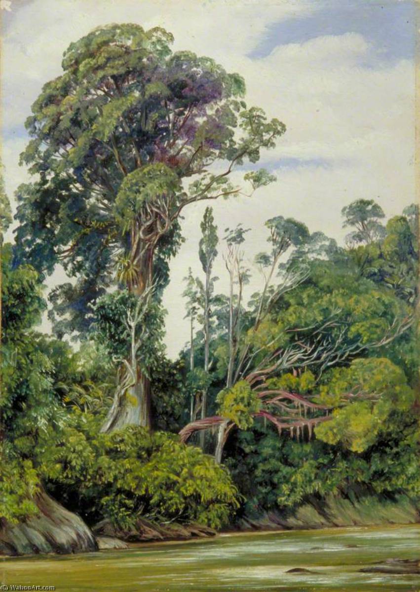 Tree Covered With Epiphytes And A Palawan Tree, Sarawak, Borneo — Marianne North
