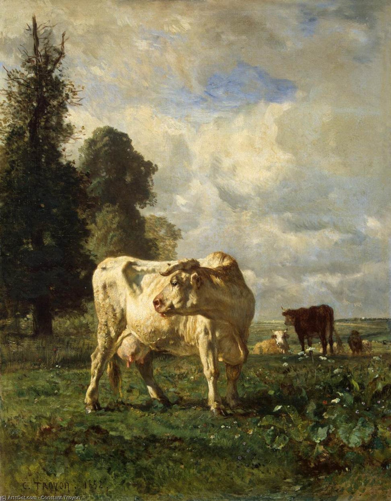 Cows In The Field — Constant Troyon