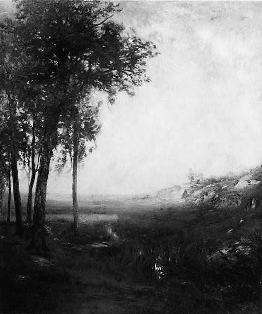 Broad, Silent Valley — Alexander Helwig Wyant