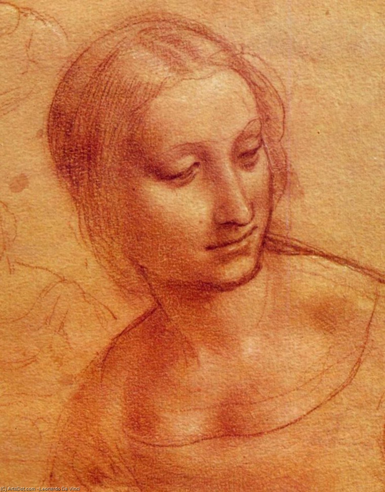 Head Of A Woman, Drawing, Musée Bonnat, Bayonne — Leonardo Da Vinci