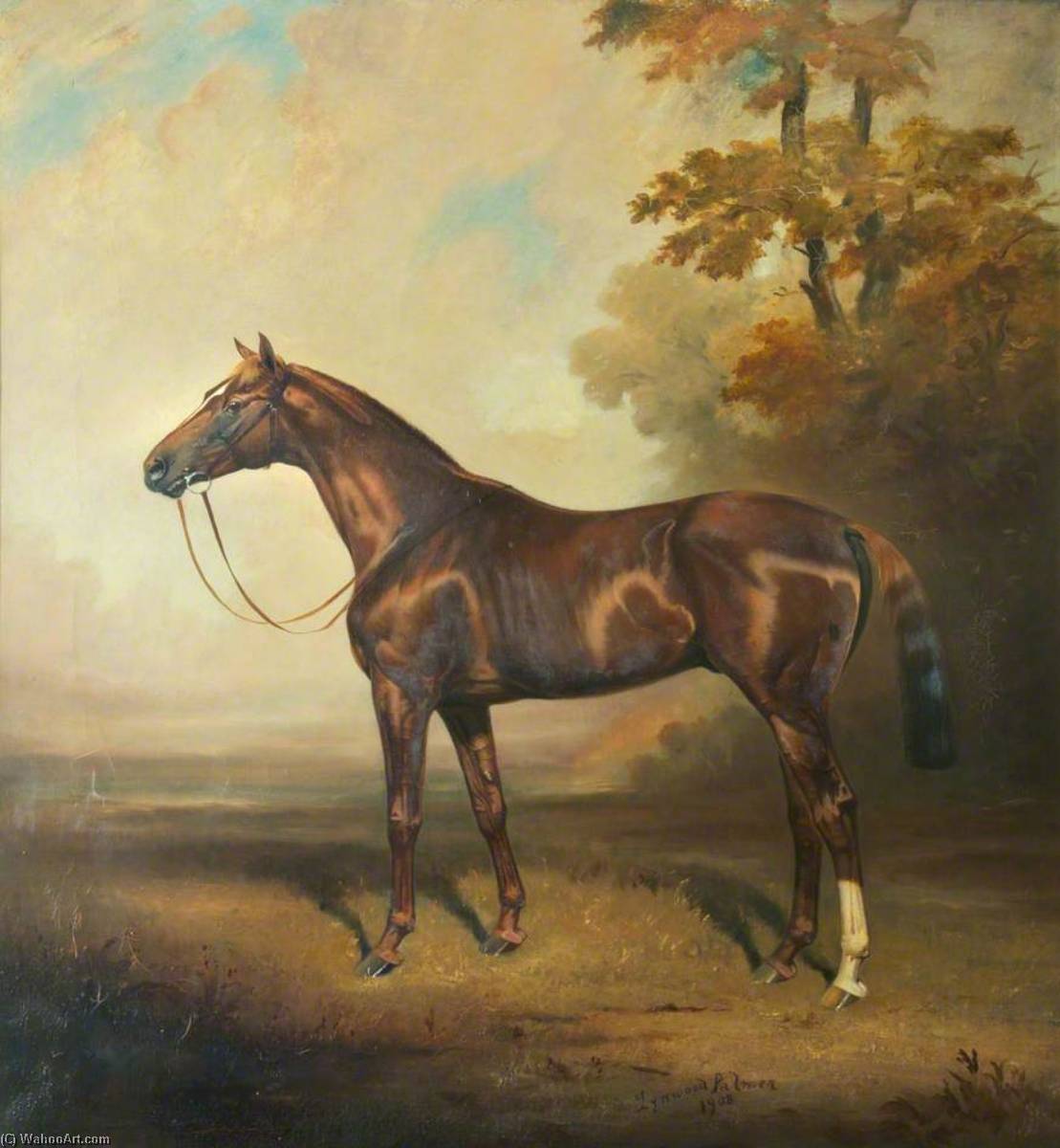 'polar Star' — James Lynwood Palmer