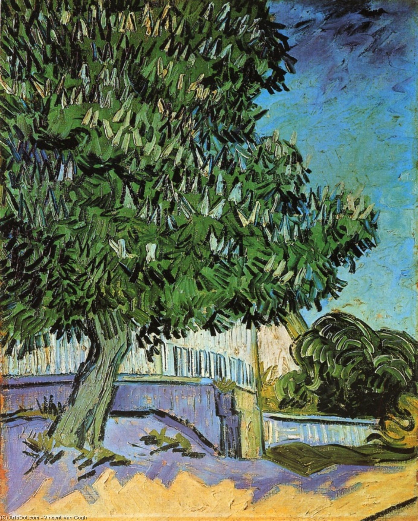 Chestnut Trees In Bloom — Vincent Willem Van Gogh