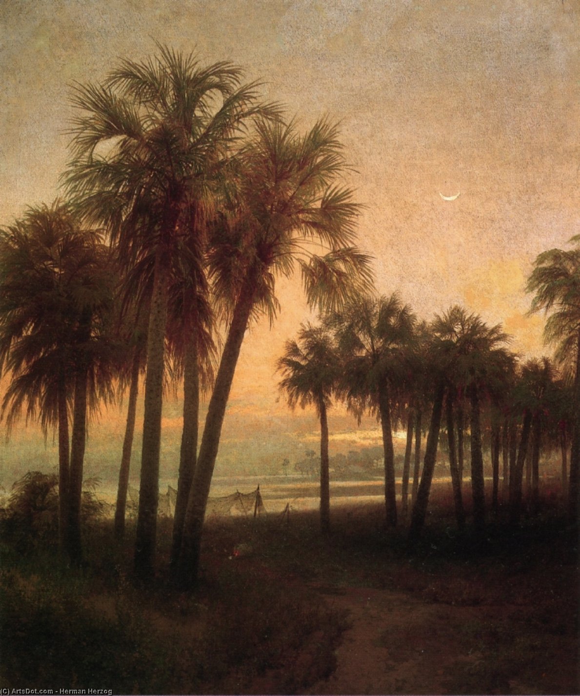 St. John's River, Florida — Herman Herzog