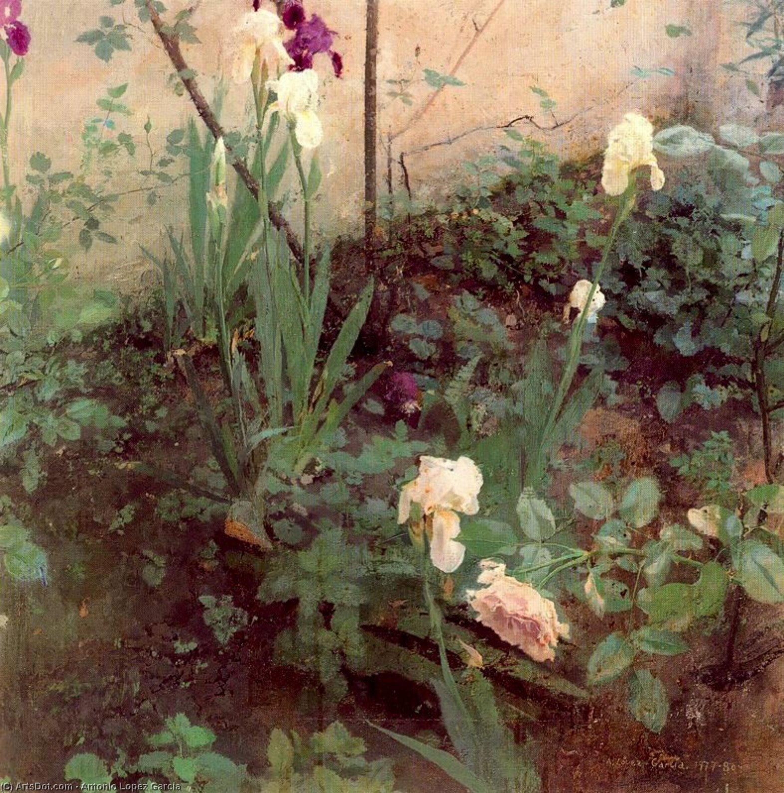 Untitled (277) — Antonio López García