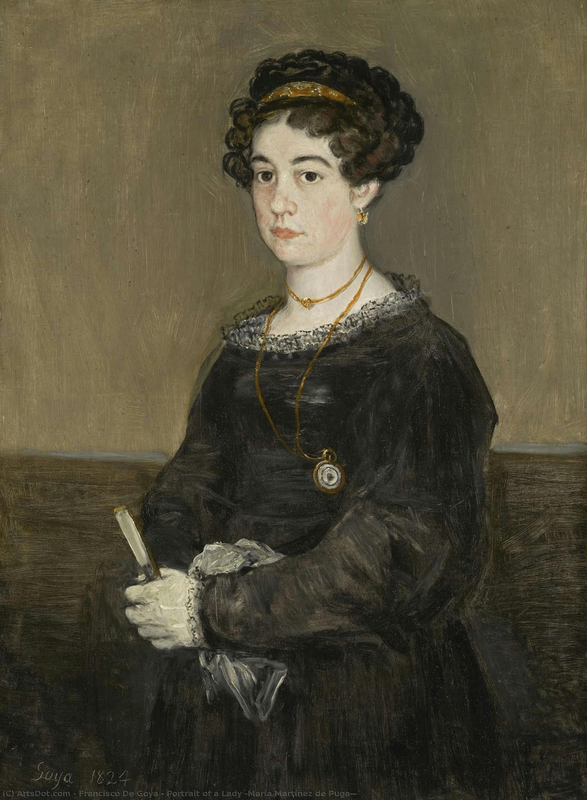 Portrait Of A Lady (maría Martínez De Puga?) — Francisco José De Goya Y Lucientes
