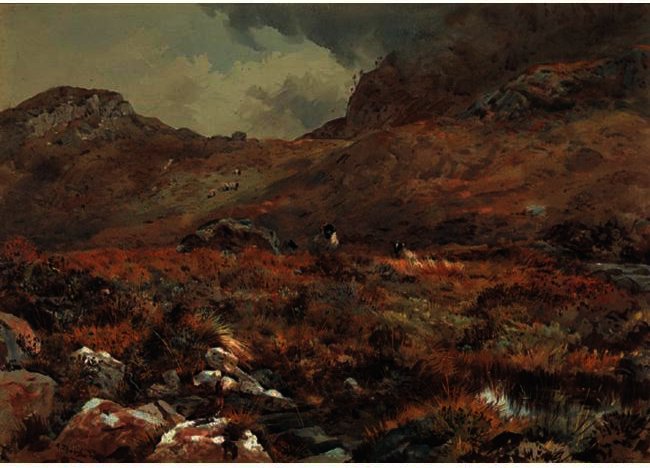 Sheep Resting In A Grouse Moor — Archibald Thorburn
