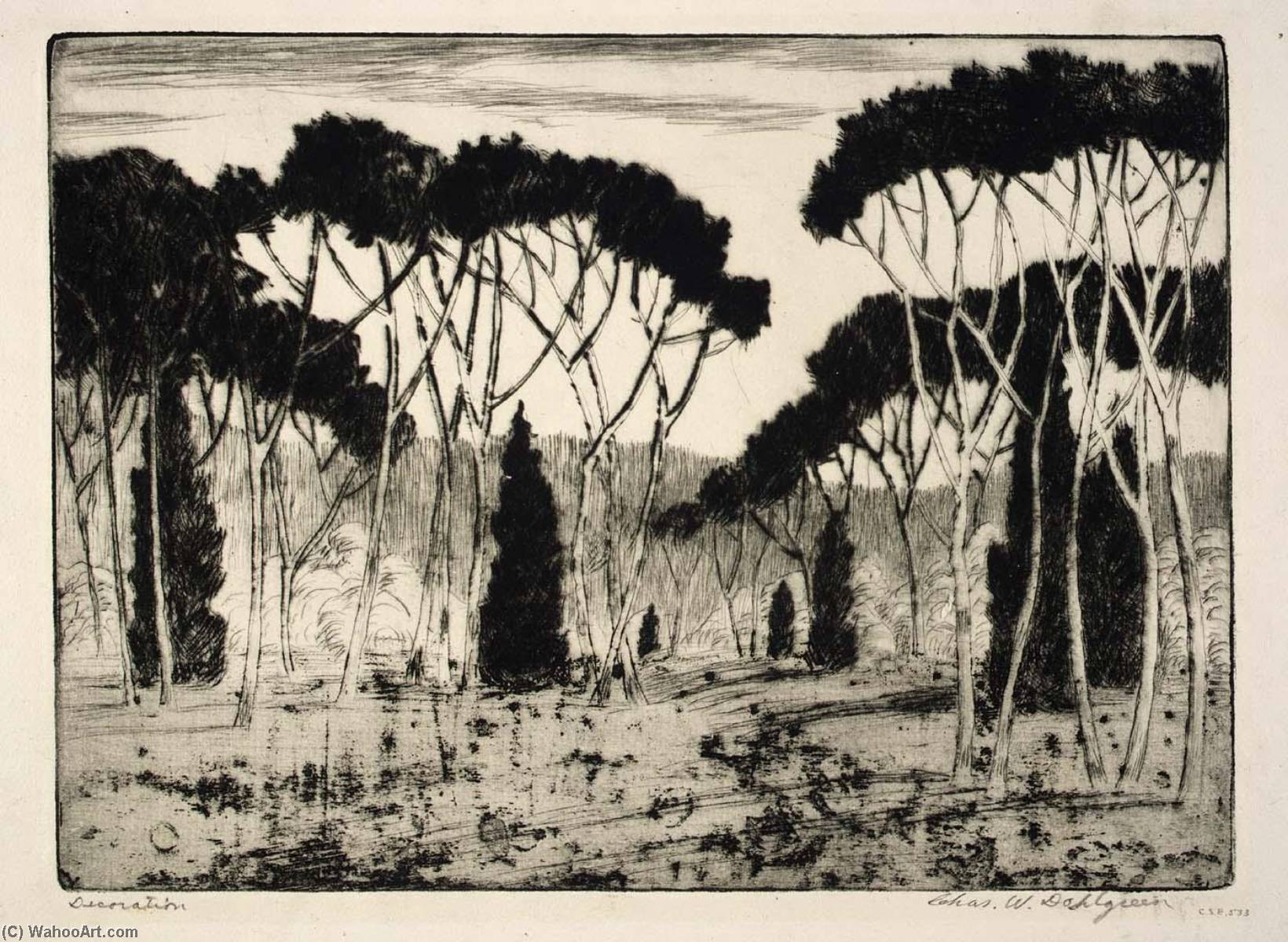 Decoration — Charles W Dahlgreen