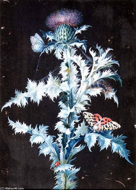 Still Life Of A Thistle (gouache) — Barbara Regina Dietzsch