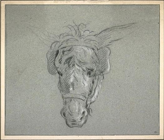 Head Of A Donkey — Jean-baptiste Oudry