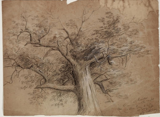 Tree2 — Thomas Cole