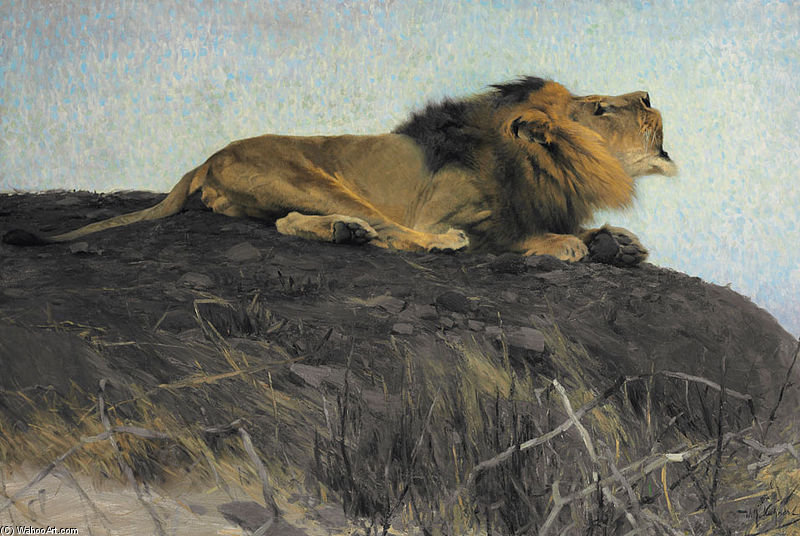 Brüllender Löwe — Friedrich Wilhelm Kuhnert