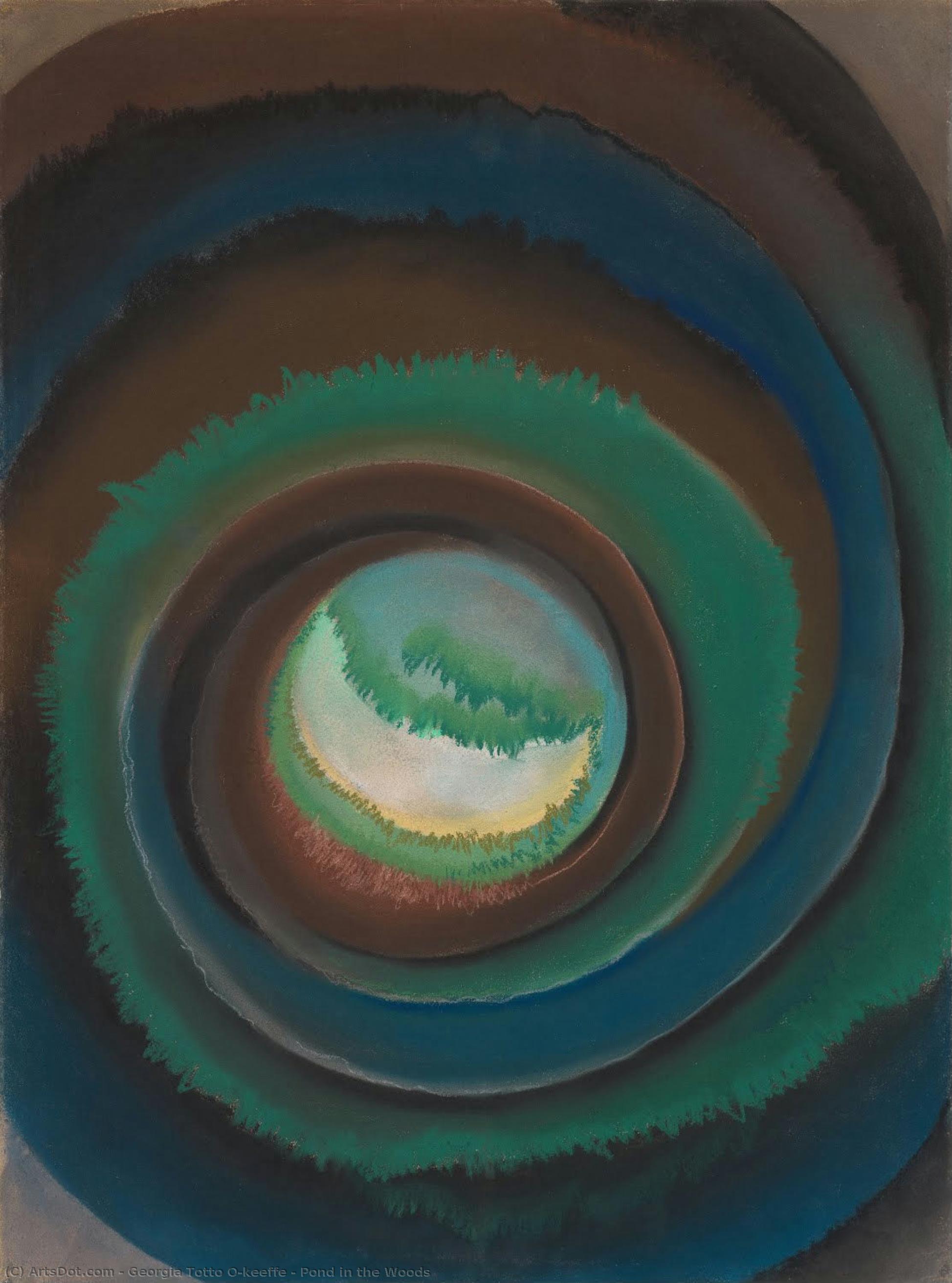 Pond In The Woods — Georgia O'keeffe