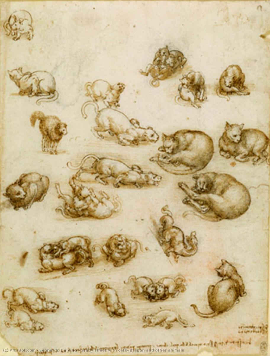 Estudio Con Gatos, Dragón Y Otros Animales — Leonardo Da Vinci