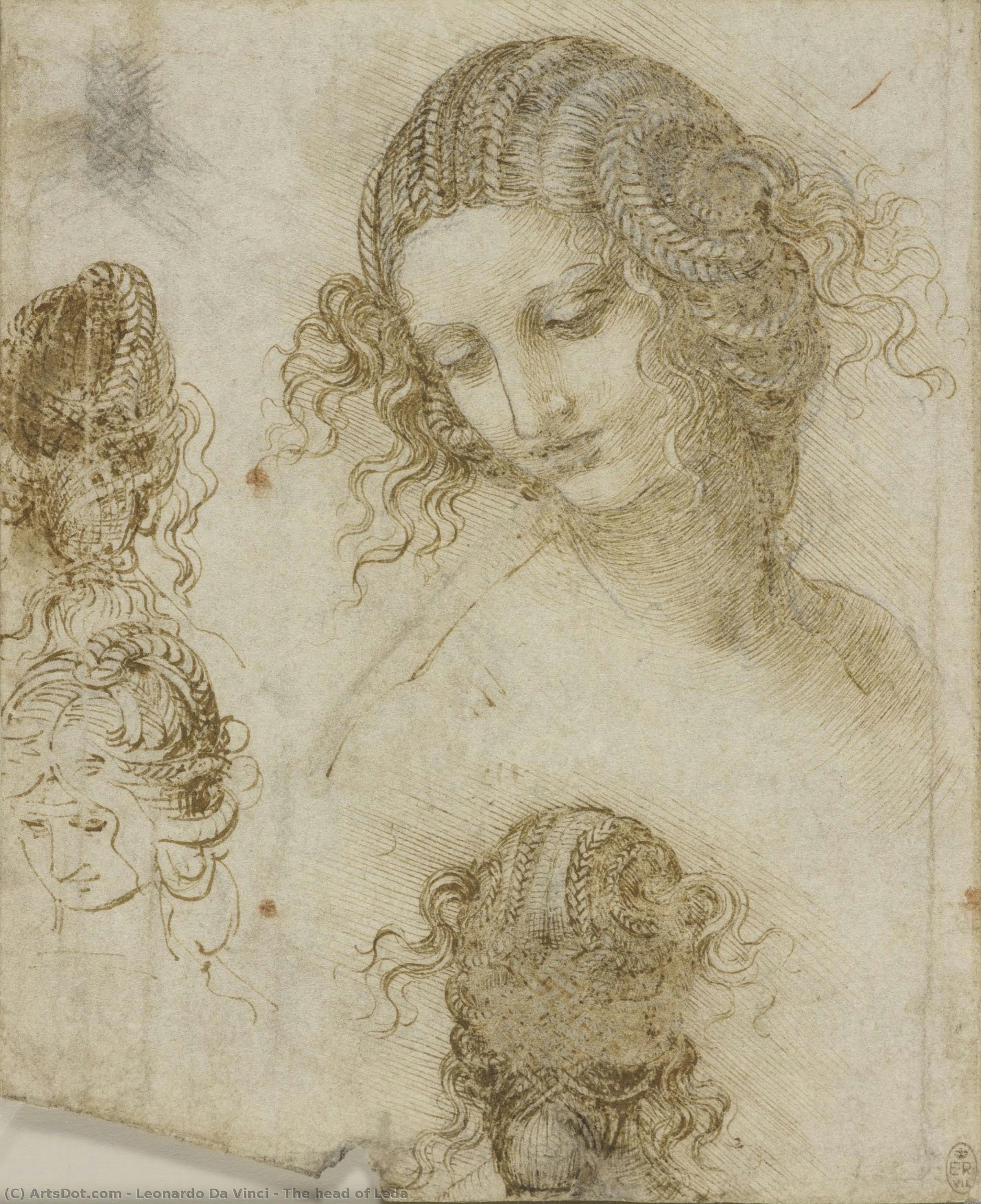 The Head Of Leda — Leonardo Da Vinci