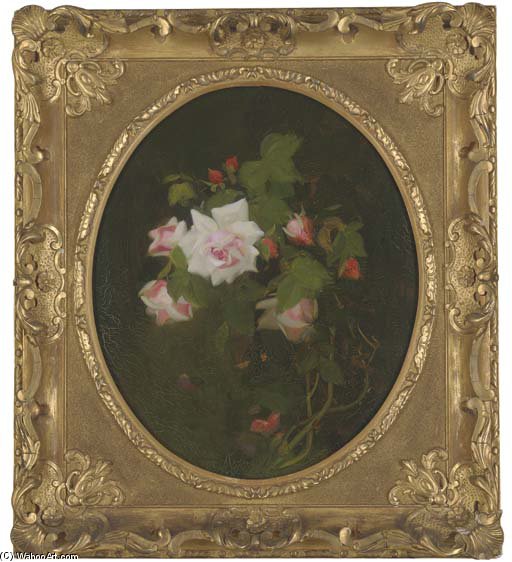 Pink Roses - — James Stuart Park