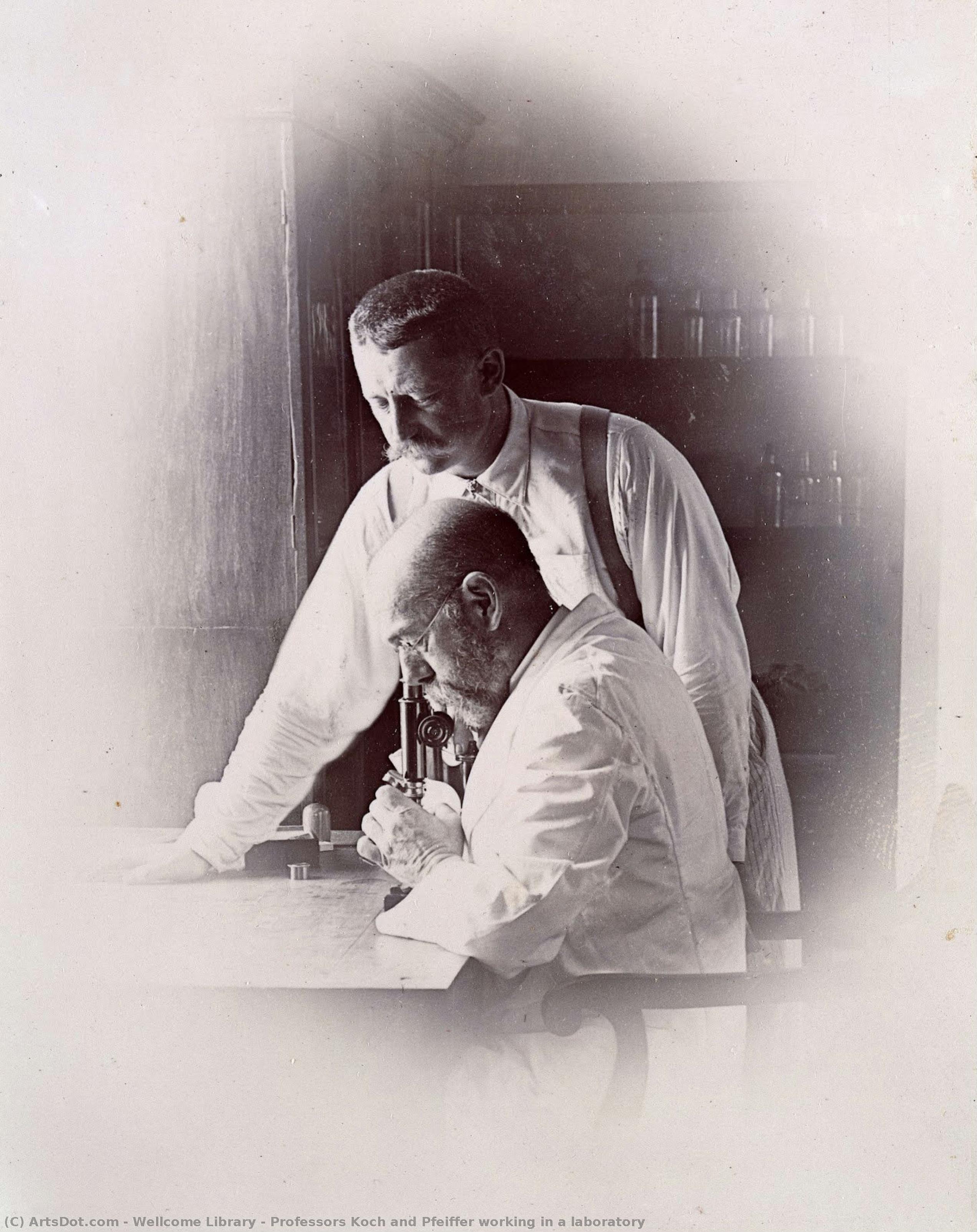 Professors Koch And Pfeiffer Working In A Laboratory — Wellcome Library