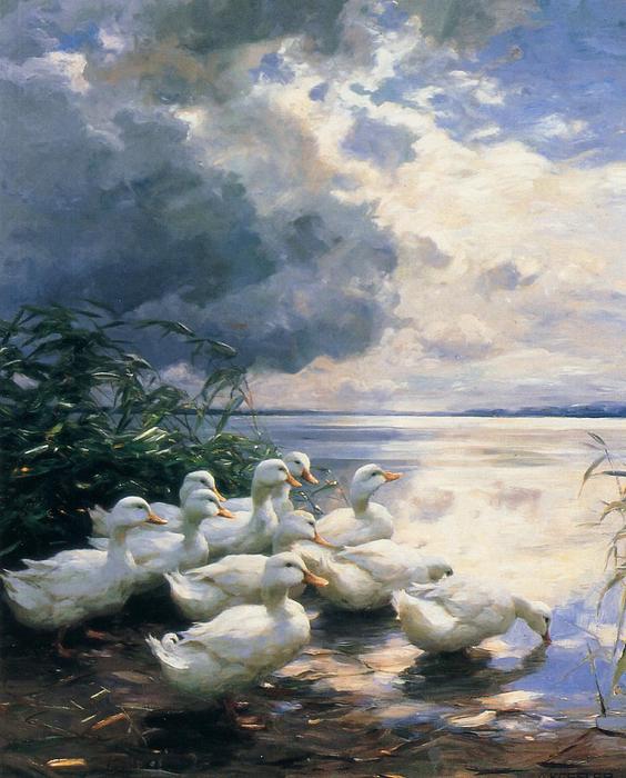 Ducks In The Morning — Alexander Max Koeste