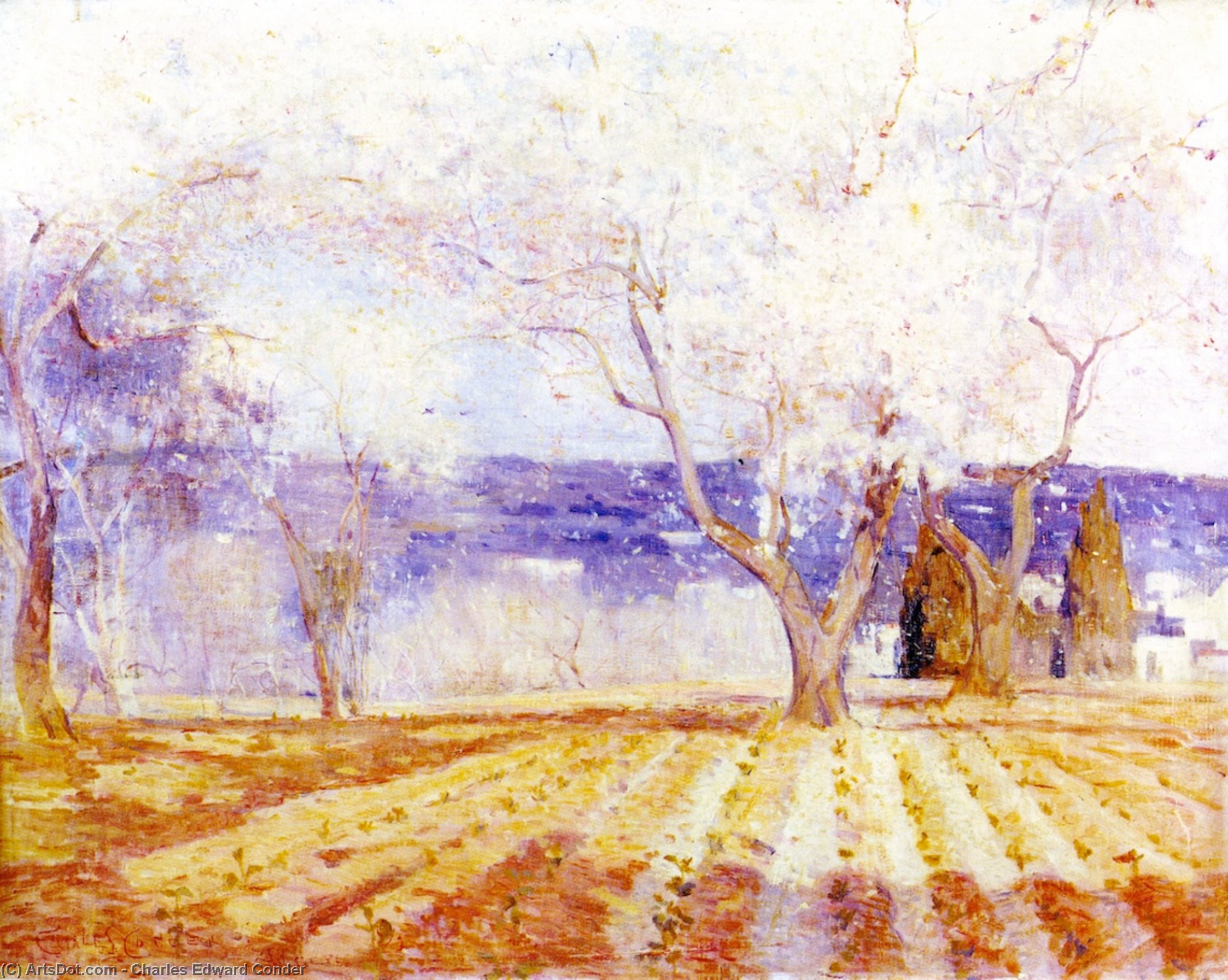 Fruit Trees In Blossom, Algiers — Charles Edward Conder