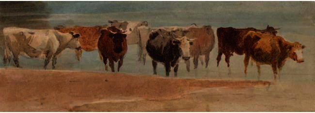 Cattle In A Stream — David Cox