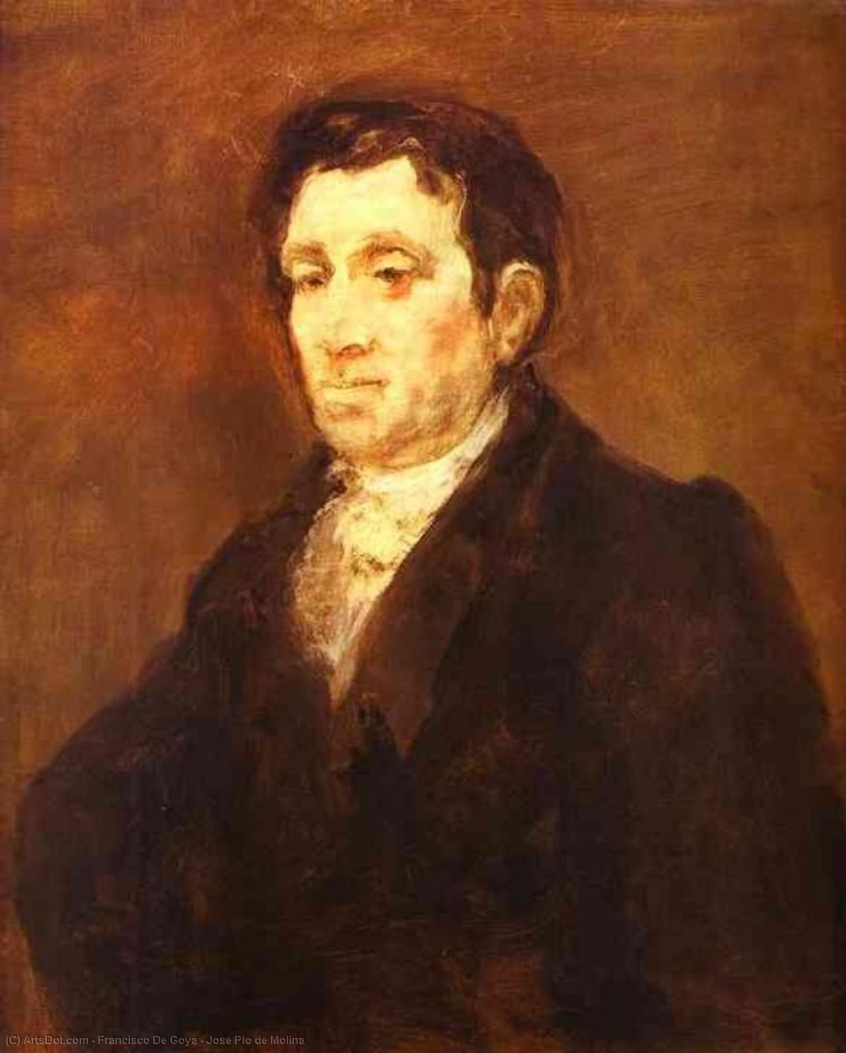 Jose Pio De Molina — Francisco José De Goya Y Lucientes