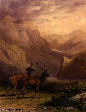 Deer In The Highlands — Robert Hills