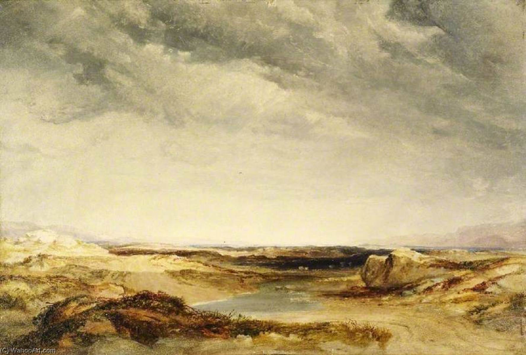 A Heath Near The Coast — Anthony V. C Fielding