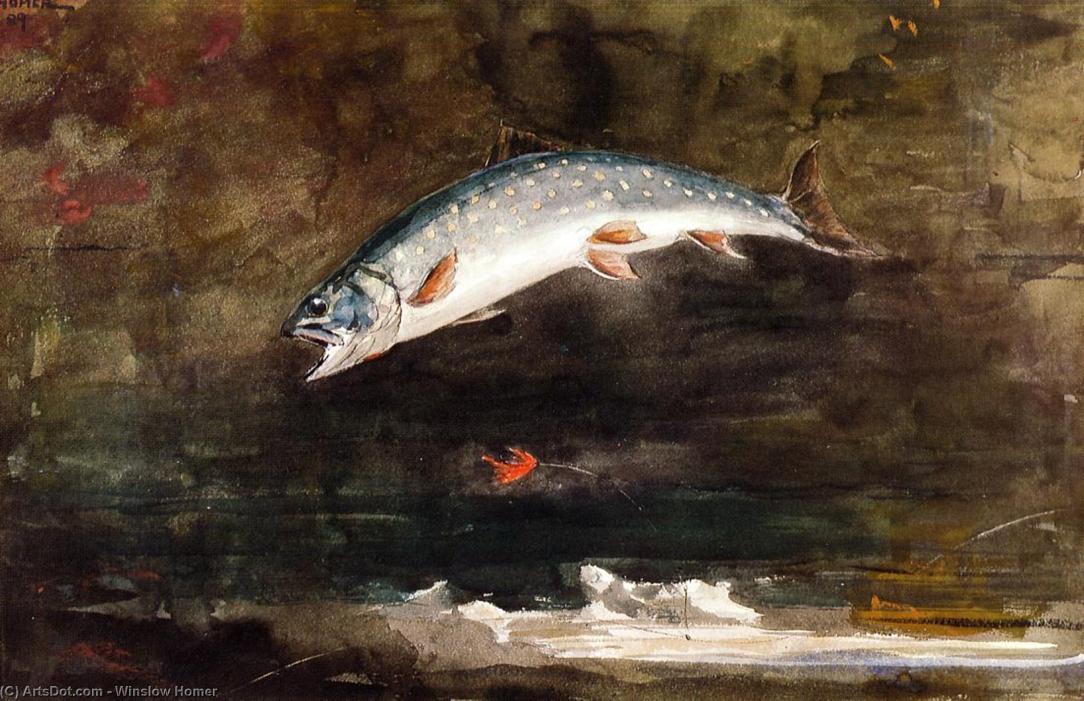 Salto De Trucha — Winslow Homer