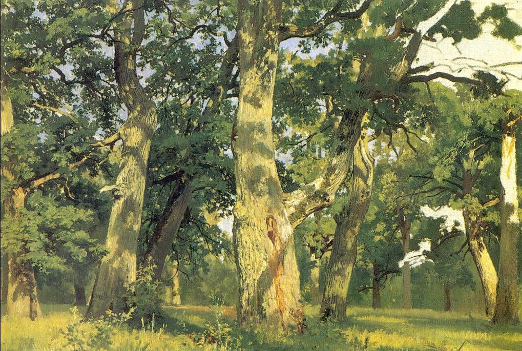 Oaks, Evening (study For Picture Oak-wood) — Ivan Ivanovich Shishkin