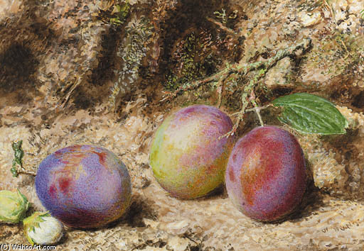 Still Life With Plums And Hazelnuts On A Mossy Bank — William Henry Hunt