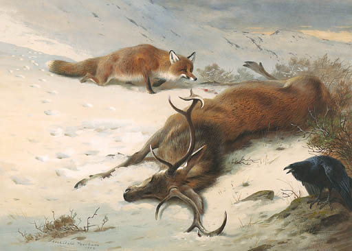 The Fox, The Raven And The Dead Stag — Archibald Thorburn