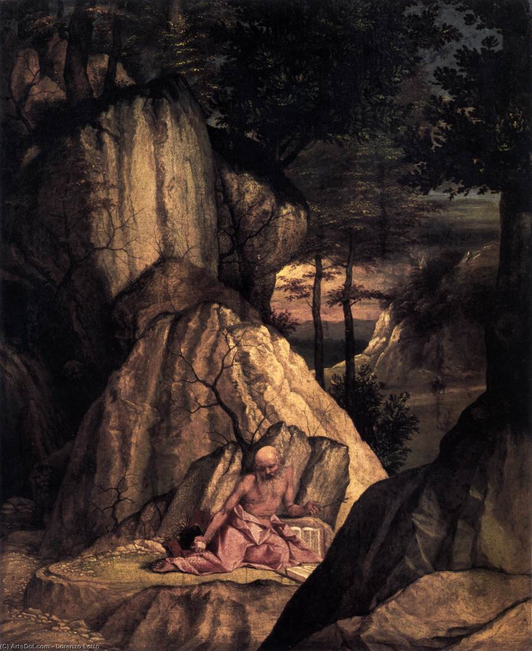 St Jerome In The Wilderness — Lorenzo Lotto