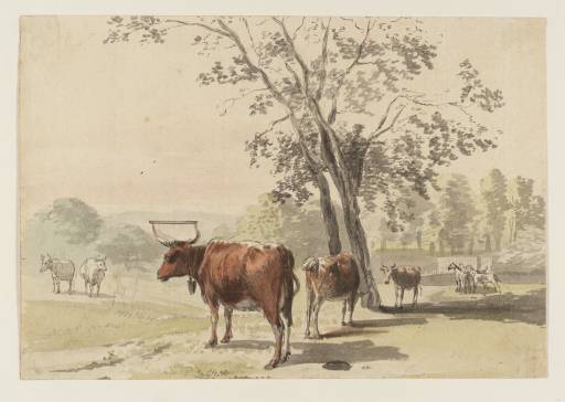 Cows In A Park — Paul Sandby