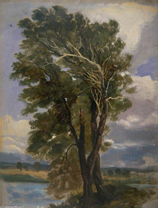 Study Of Tre — George Harvey