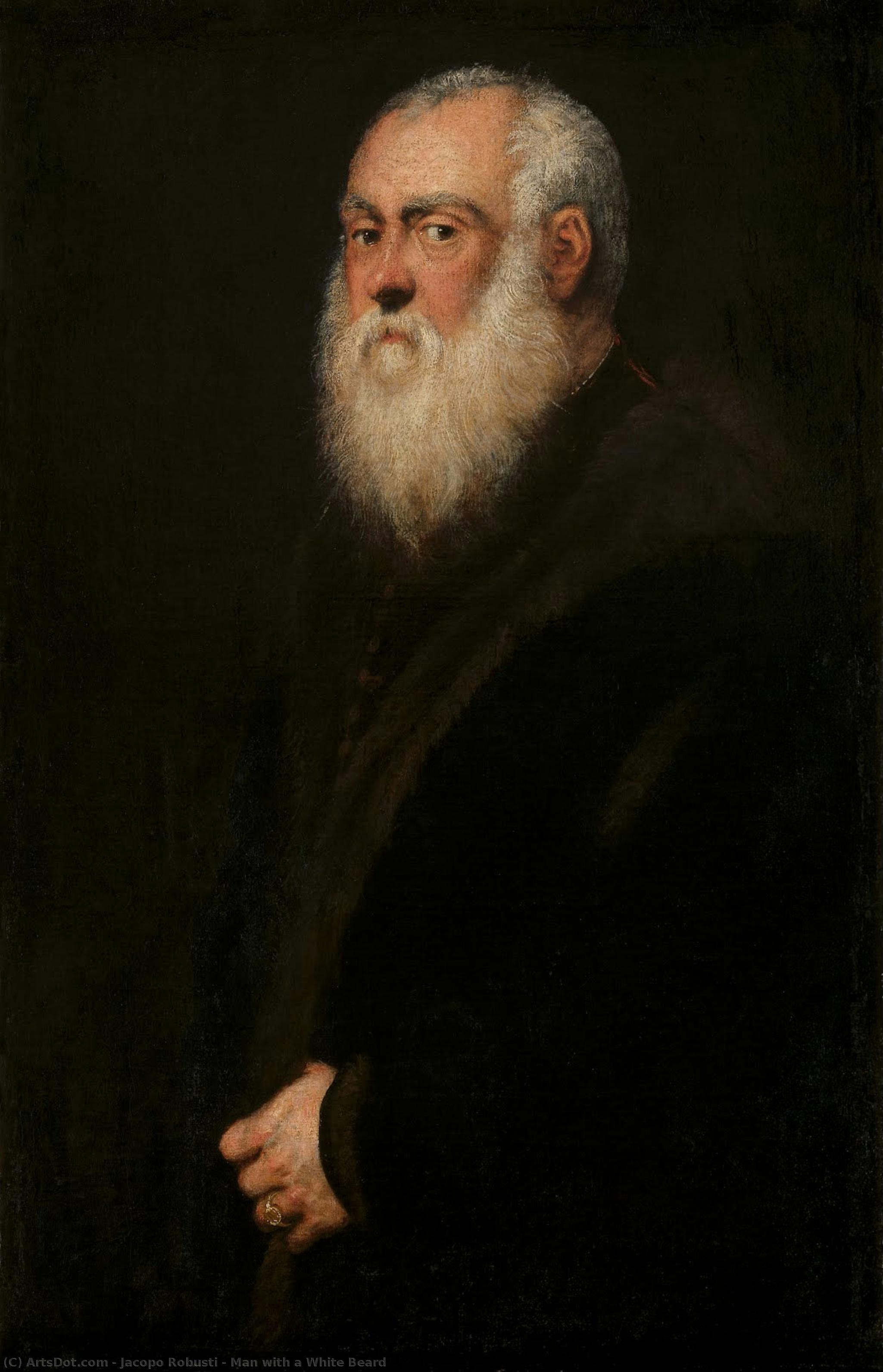 Man With A White Beard — Jacopo Robusti